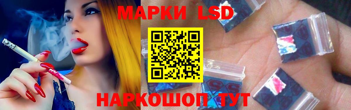 Псилоцибиновые грибы Ялуторовск